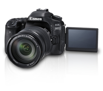 Canon 80D + EF-S 18-200mm F3.5-5.6 IS – image 7