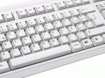 NGS Cute White – image 3