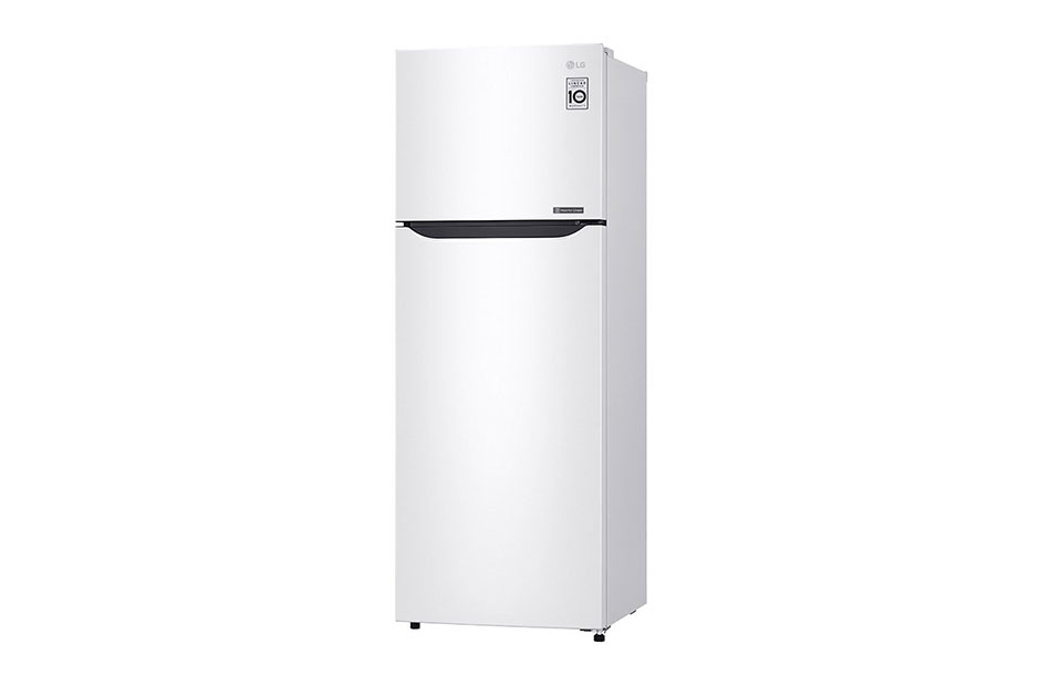 LG GTB382SHCZD fridge-freezer Freestanding – image 2