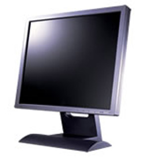 BenQ LCD Monitor FP951