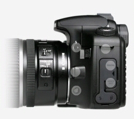 Canon 40D + EF 100mm – image 3