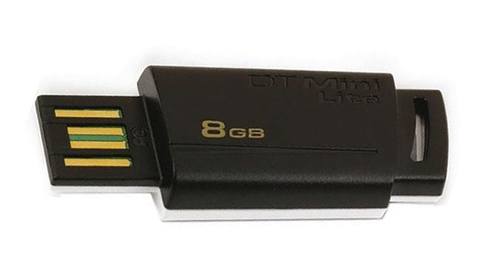 Kingston Technology 8GB MiniLite – image 1