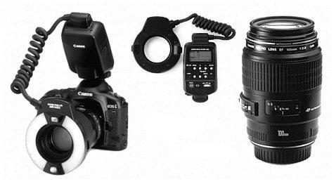 Canon EOS 40D + EF 100mm f/2.8 Macro USM + MR-14EX Macro Ring Lite