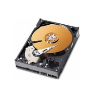 CoreParts 160GB 3.5" IDE 133