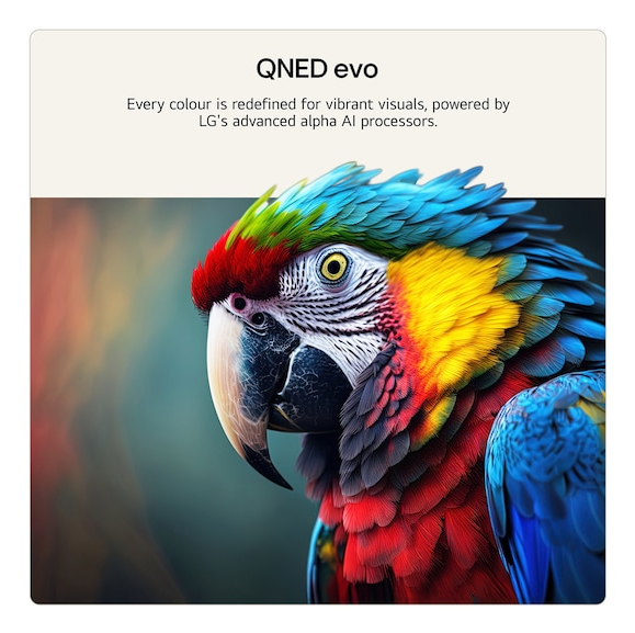 TV LG Mini LED QNED evo 50QNED87 127 cm 2026 — photo 6