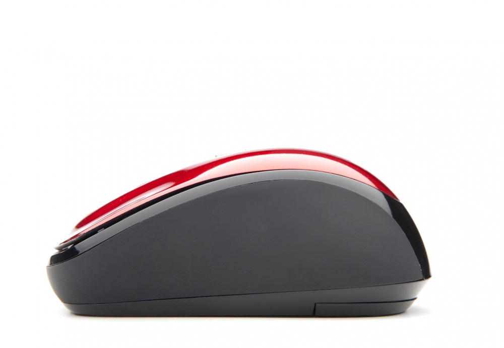 NGS Roly Red – image 4