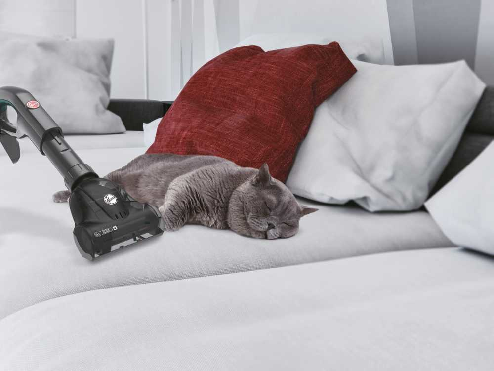 Hoover HL700PCG 001 – image 5