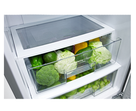 LG GBB530VMCQE fridge-freezer Freestanding – image 6