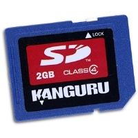 iStorage 2GB SD Card