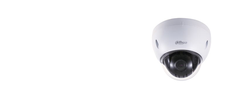 Dahua Technology DH-SD32A203SN-HN security camera Dome IP security camera Indoor & outdoor