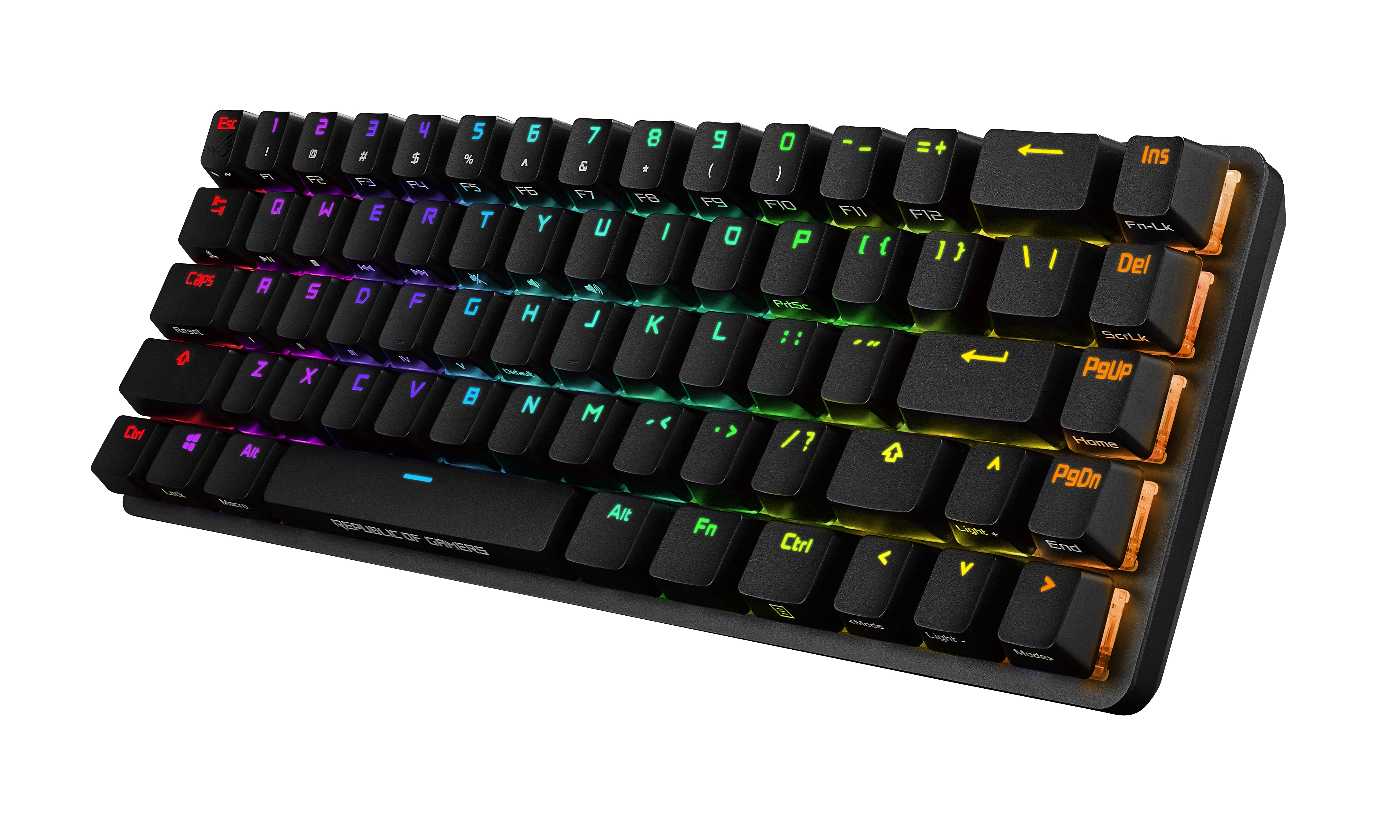 Product Gallery
