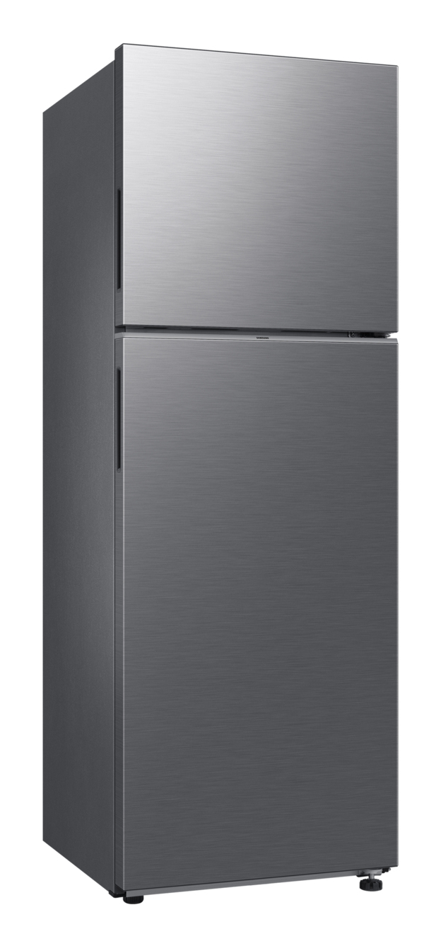 Samsung RT31DG5124S9EM — vue 1 sur 6
