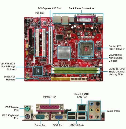 MSI P4M900M3-L motherboard VIA P4M900 LGA 775 (Socket T) ATX – image 2