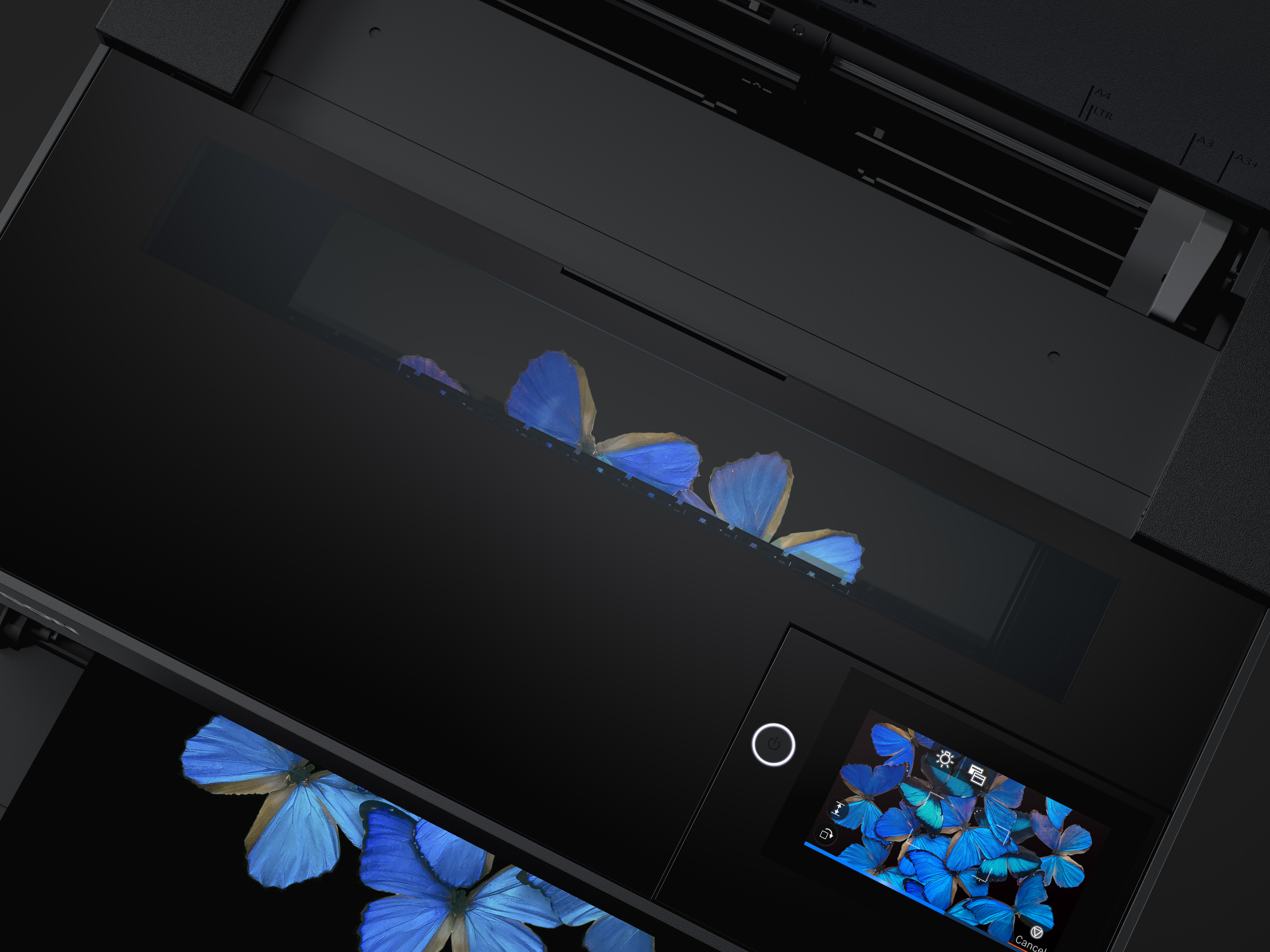 Product Gallery