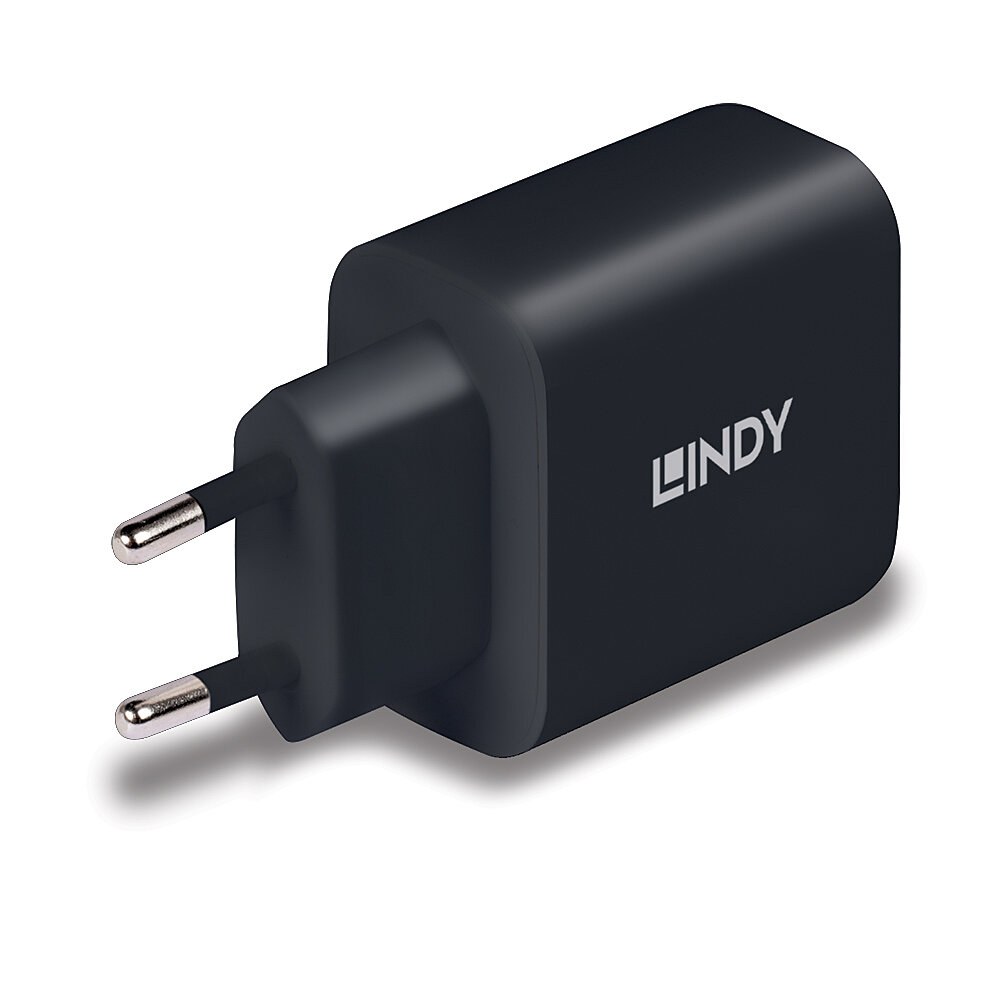 Lindy 73426 mobile device charger Universal Black AC Fast charging Indoor – image 2