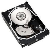 Seagate Cheetah 15K.5 Ultra320 SCSI 73GB