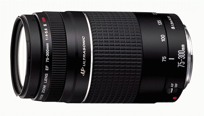 Canon EF 75-300mm f/4.0-5.6 III USM – image 2