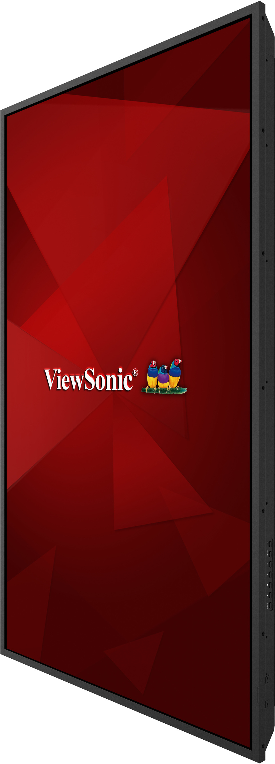View 5