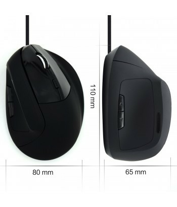 Ewent EW3157 mouse Office Right-hand USB Type-A Optical 1800 DPI – image 6