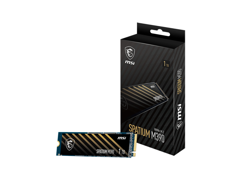 MSI SPATIUM M390 – image 1