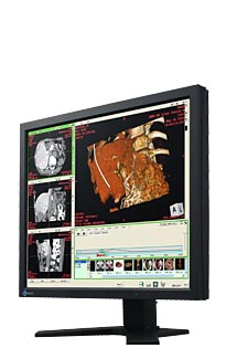 EIZO R12 computer monitor