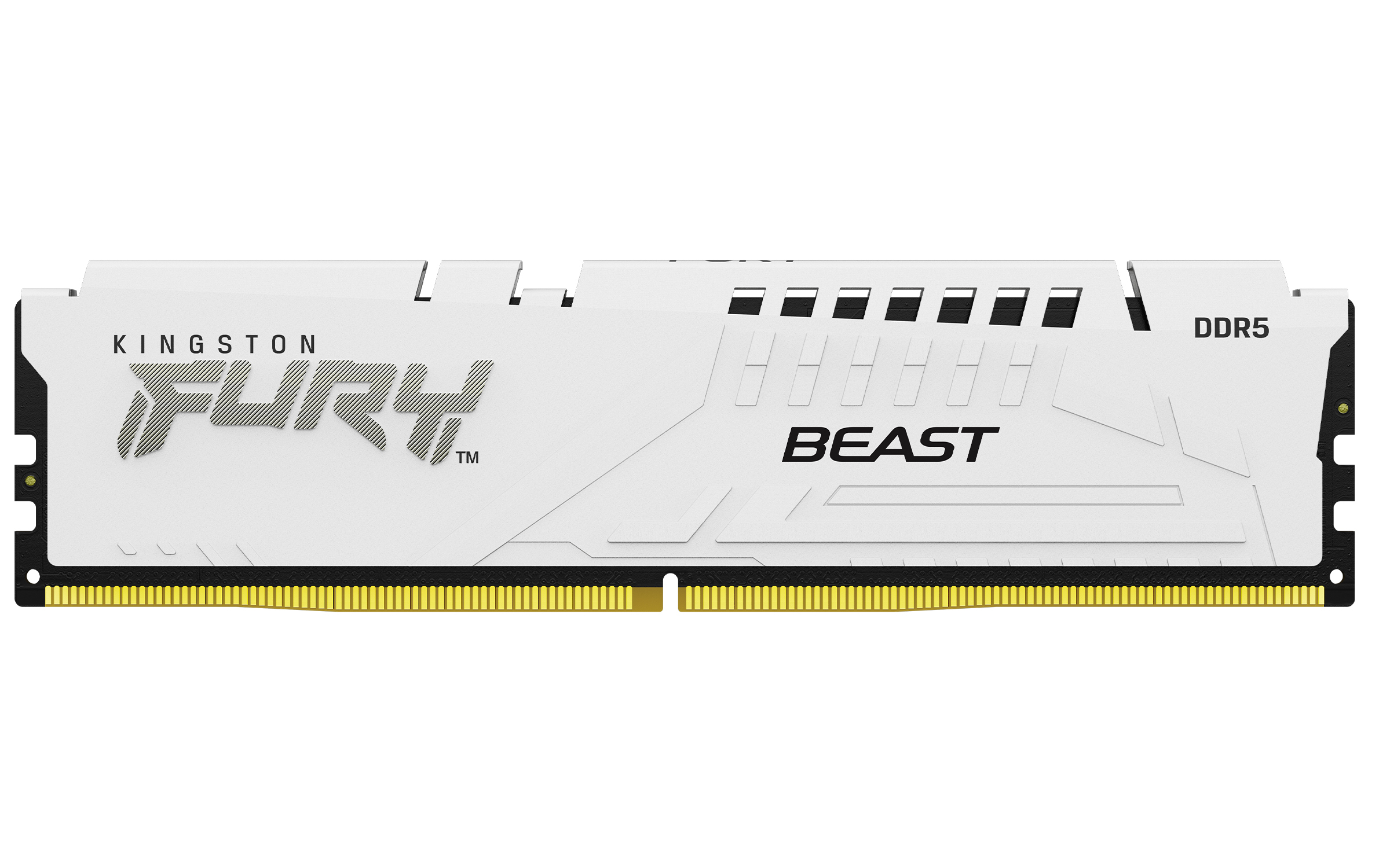 Memoria Ram Kingston - FURY Renegade - DDR5 - 64GB (2x32GB) - DIMM - Blanco - KF560C30BWK2-64