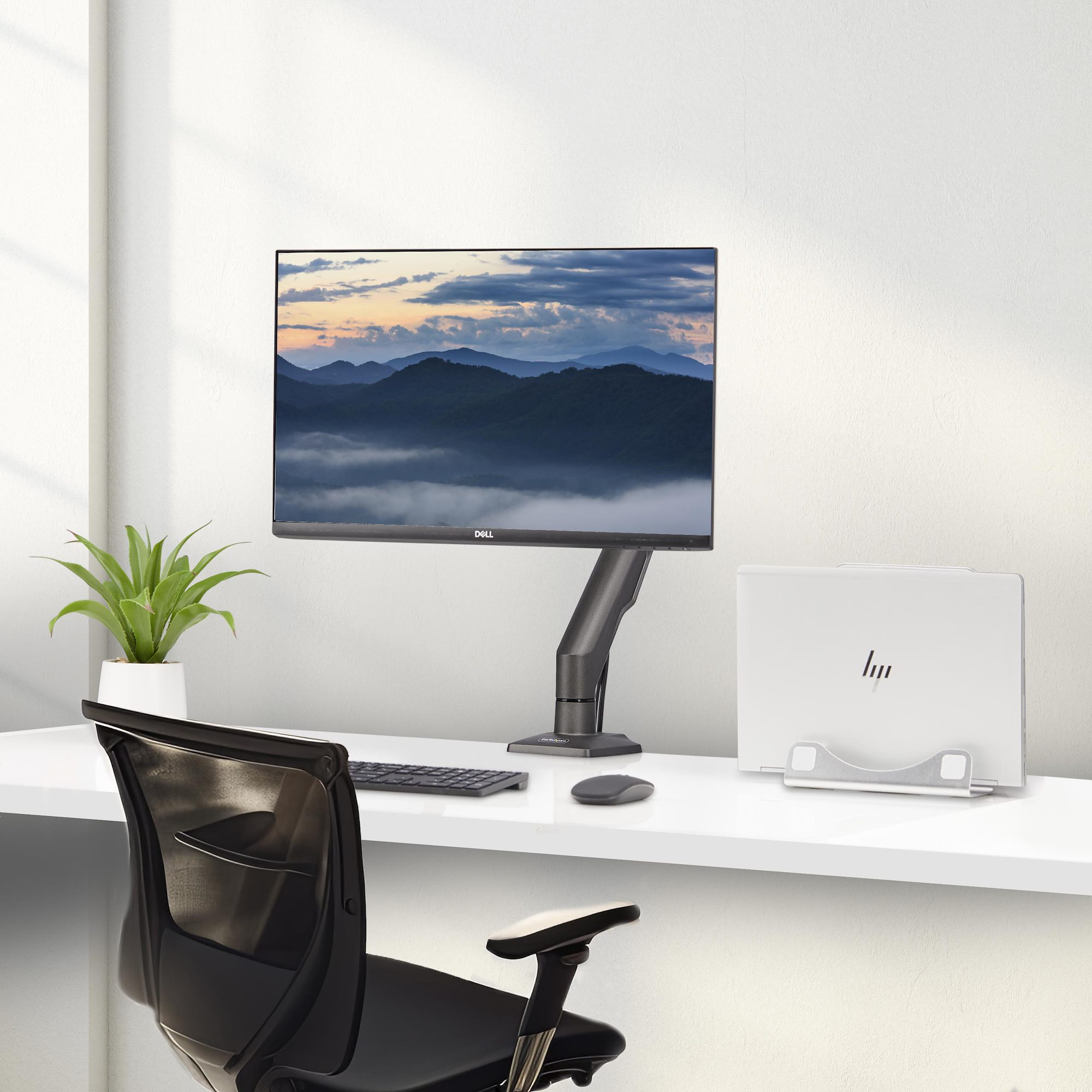 Product Gallery