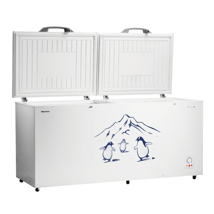 Hisense FC663D4BWB freezer Chest freezer Freestanding