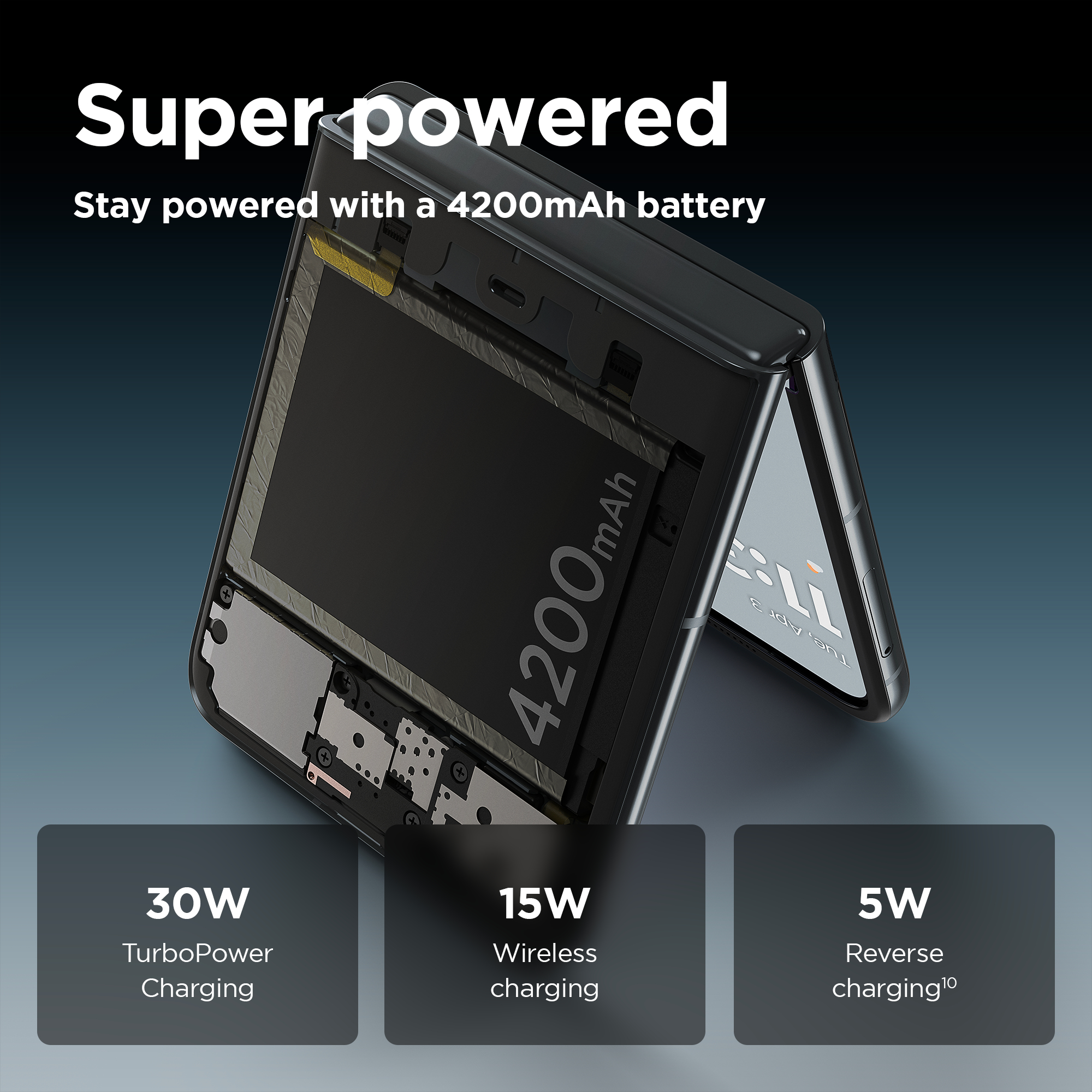 Product Gallery