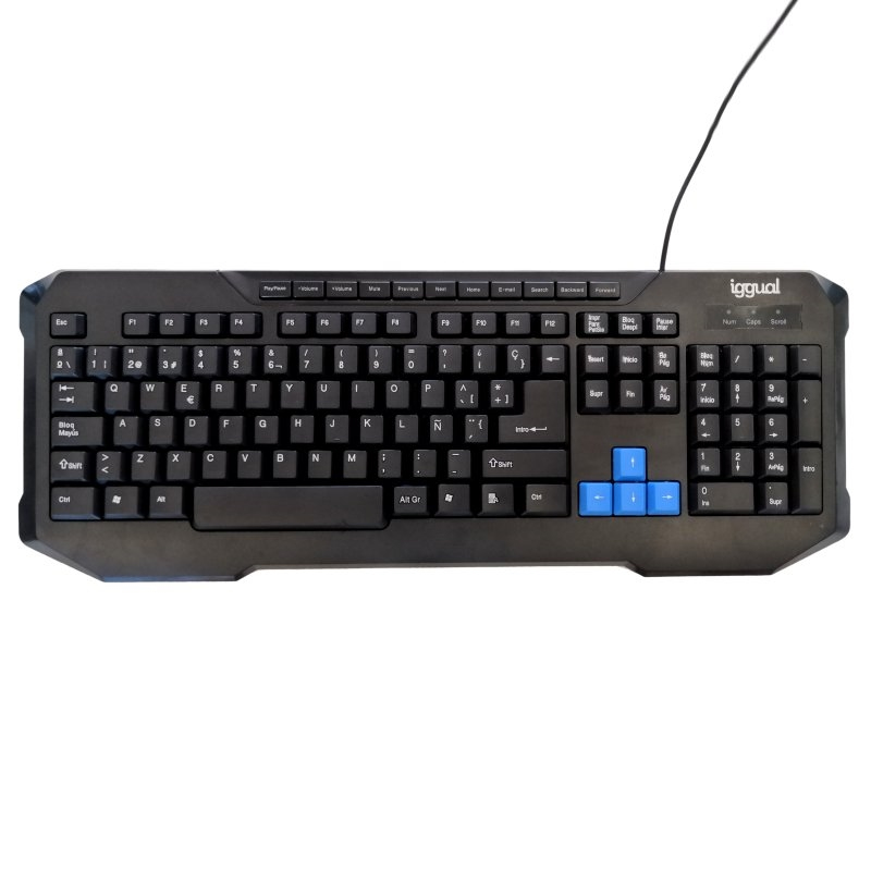 iggual IGG317495 keyboard Home USB QWERTY Black, Blue