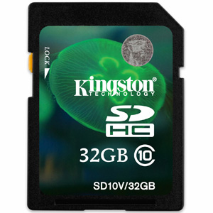 Kingston Technology SD10V/32GBER memory card