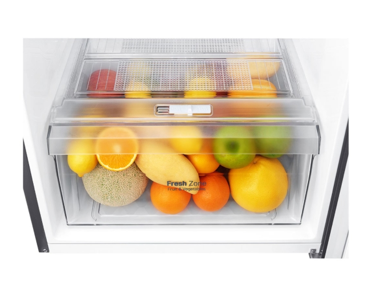 LG GT32WPK fridge-freezer Freestanding – image 5