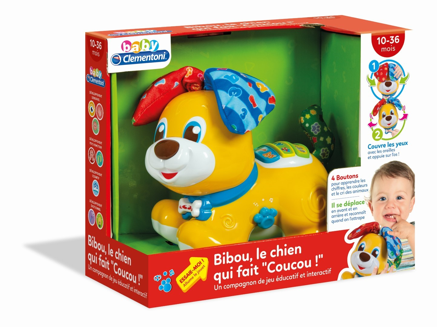 Clementoni – Bärchenmotiv, – der Hund die Tatsache Kuckuck, 52304, Mehrfarbig