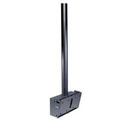 PLCM-1