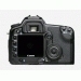 Canon 40D + EF 100 Macro – image 4