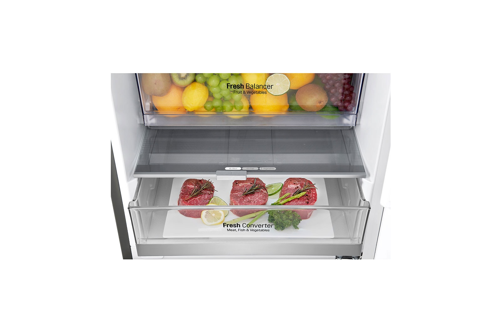 LG GBB72PZUFN fridge-freezer Freestanding – image 4