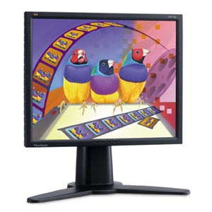 Viewsonic Professional Series VP171b computer monitor