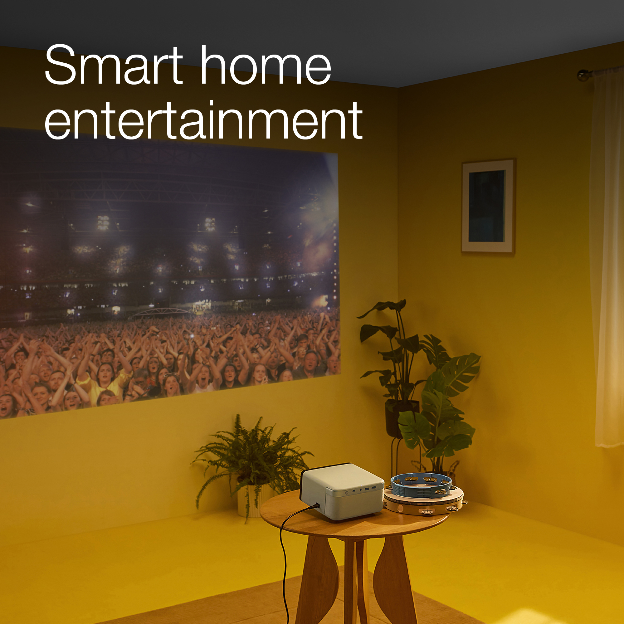 Product Gallery