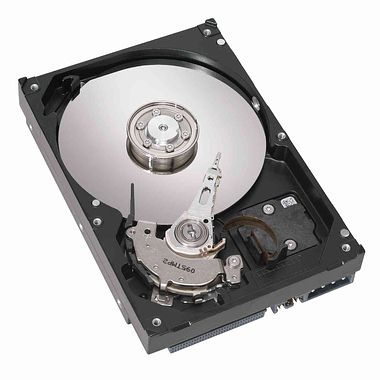 Seagate Barracuda ES 250GB SATA-II