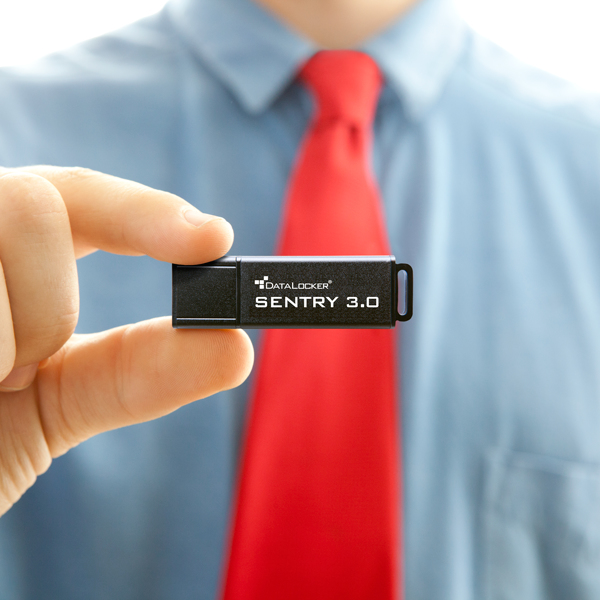 Origin Storage DataLocker Sentry 3.0, 64GB – image 3