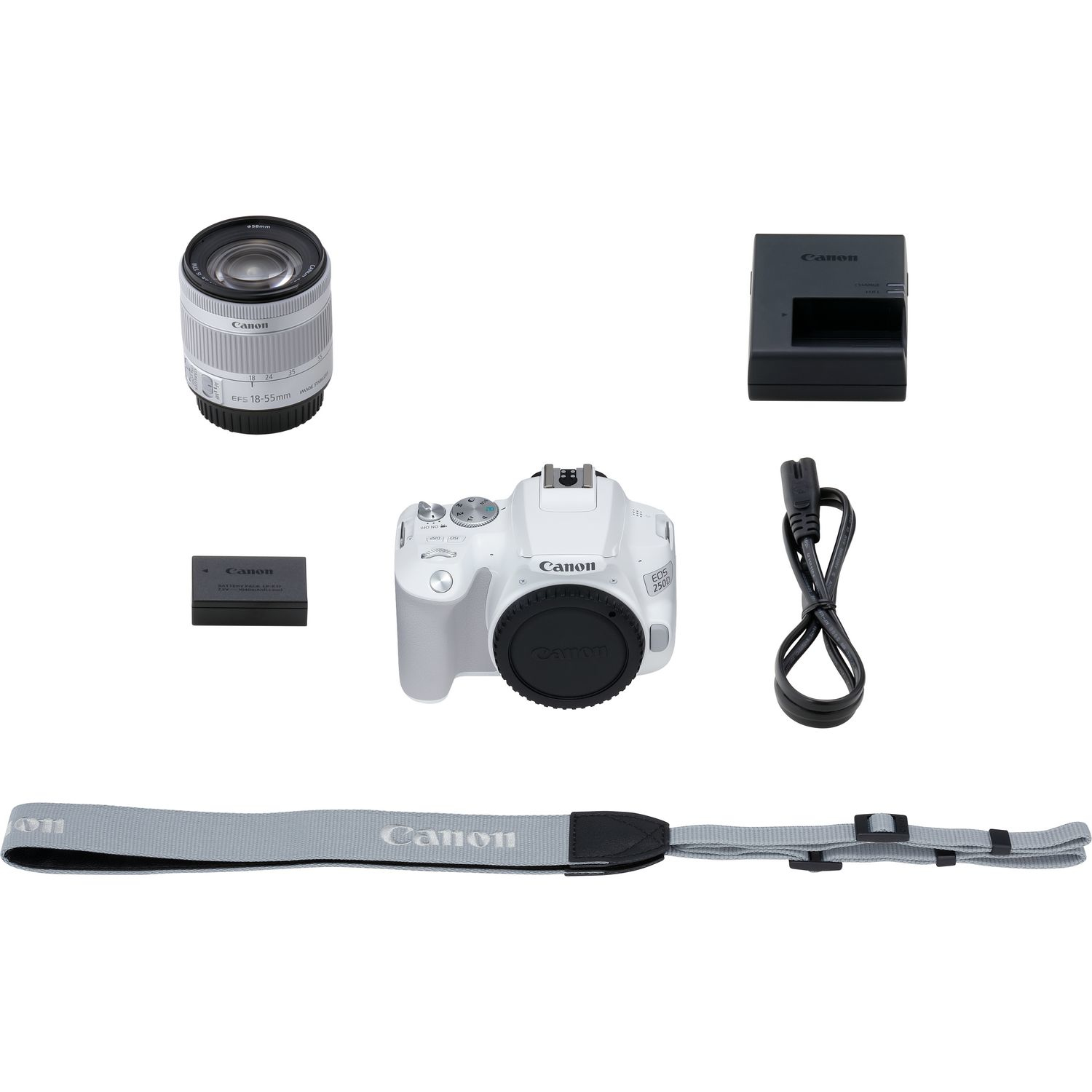Canon 250D + EF-S 18-55mm f/4-5.6 IS STM – image 9