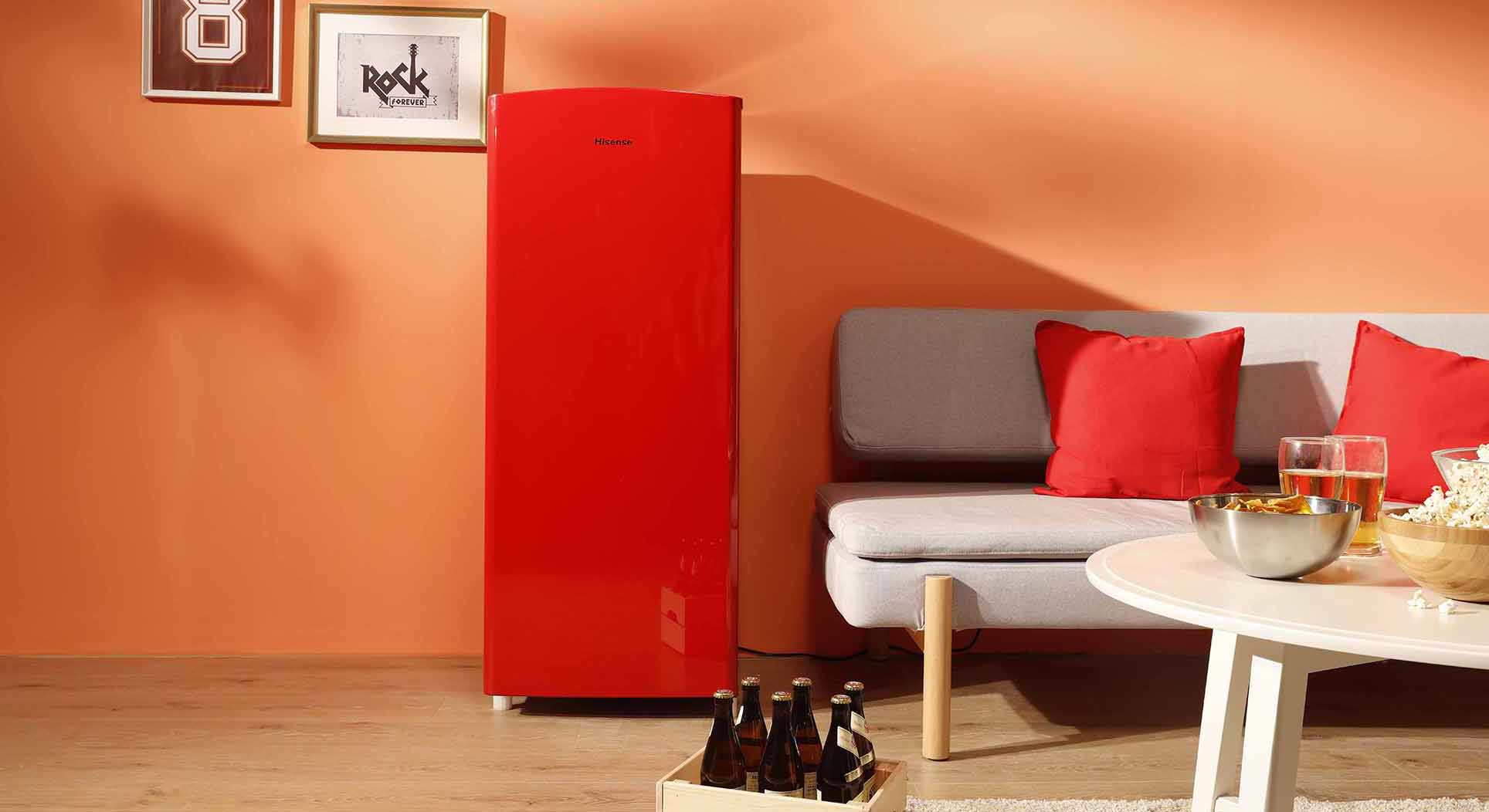 Hisense RR220 combi-fridge Freestanding – image 4