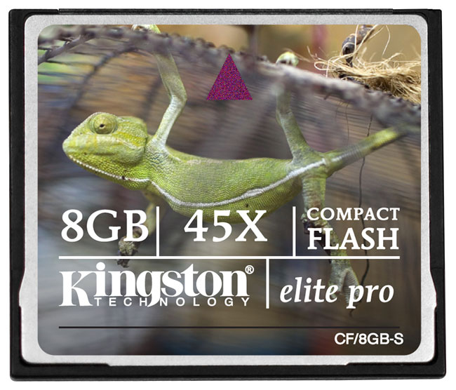 Kingston Technology 8MB COMPACT FLASH CARD