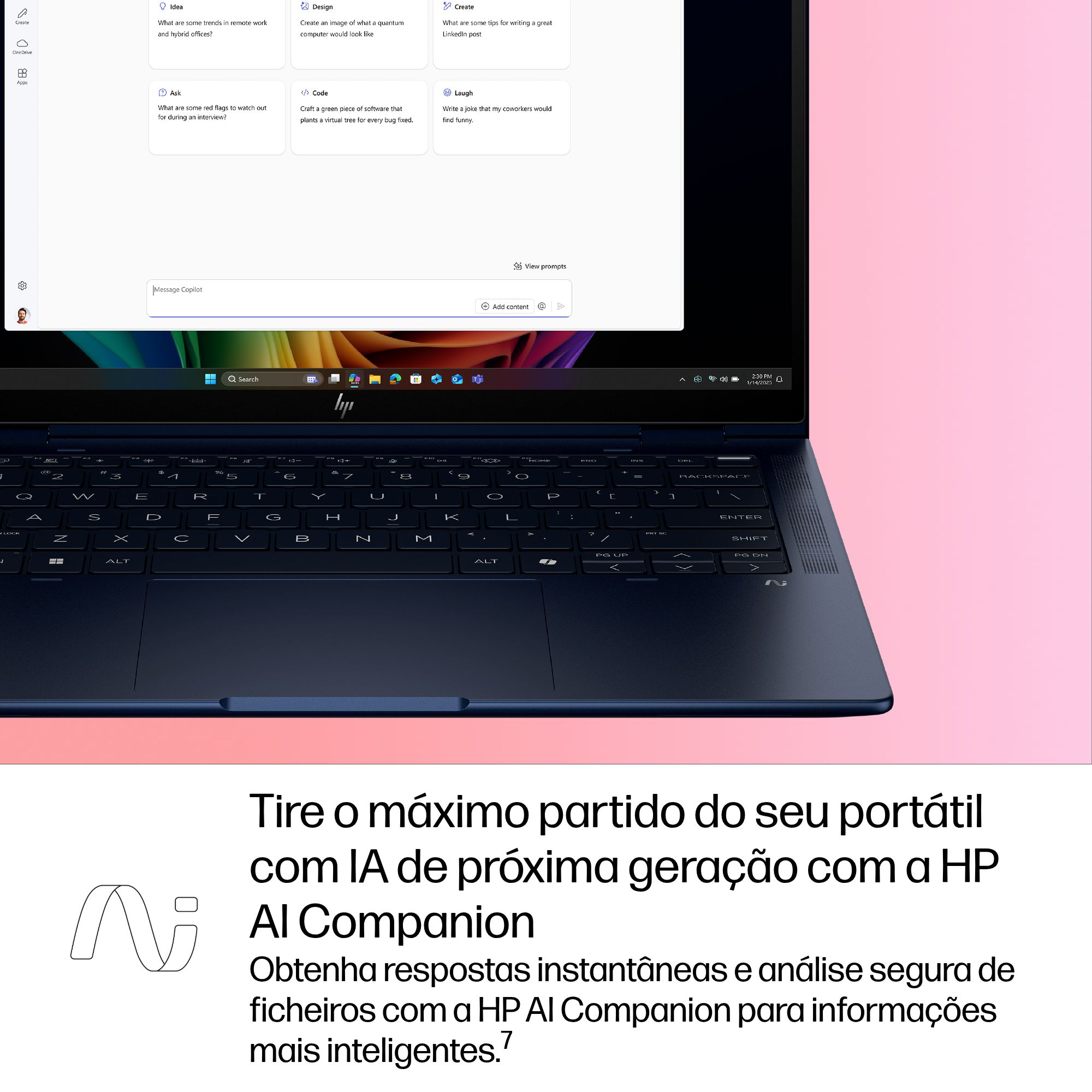 Miniatura 13