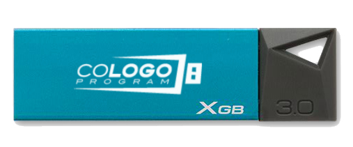 Kingston Technology Mini 3.0 32GB Co-Logo