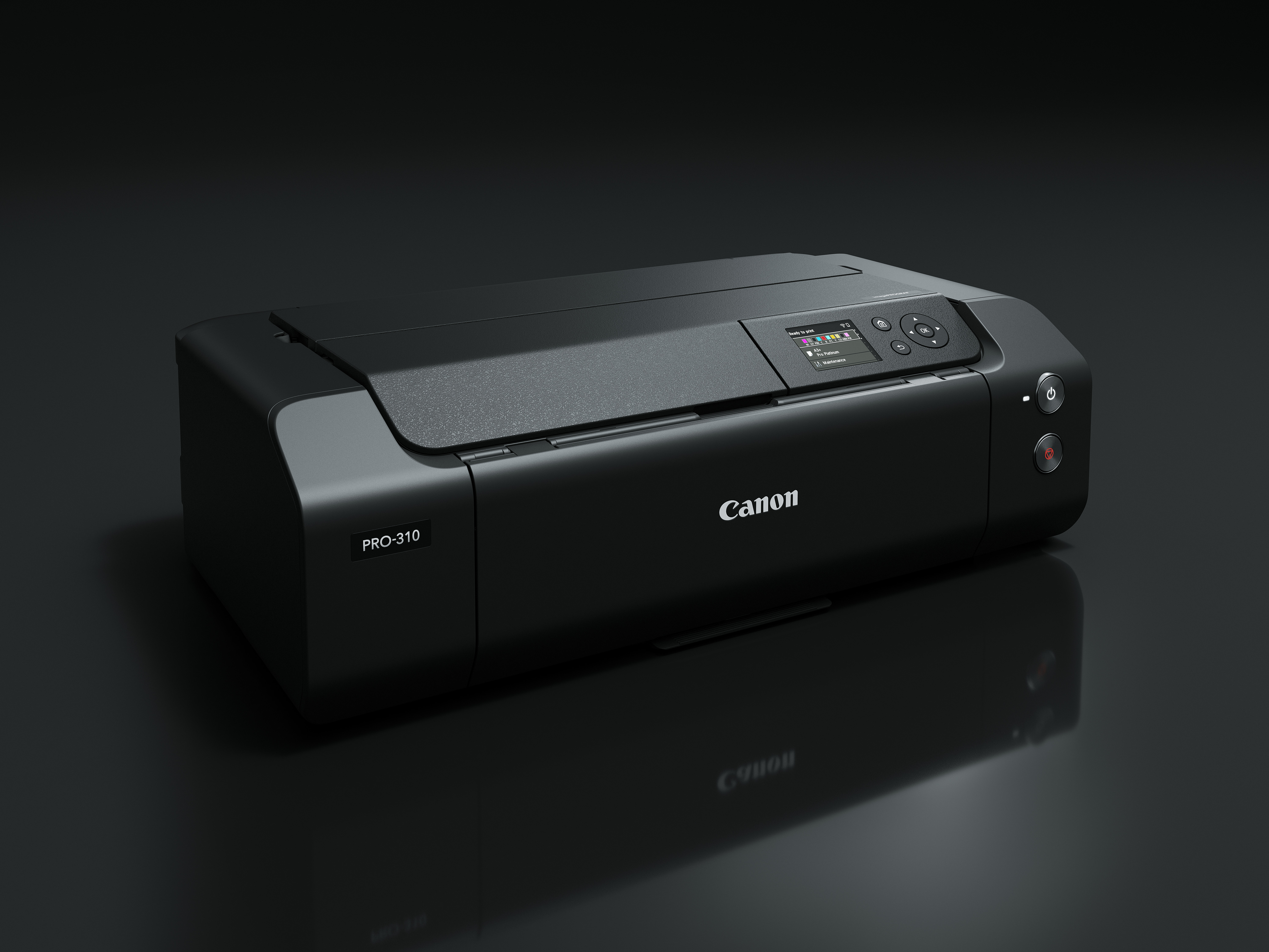 Miniatura 18