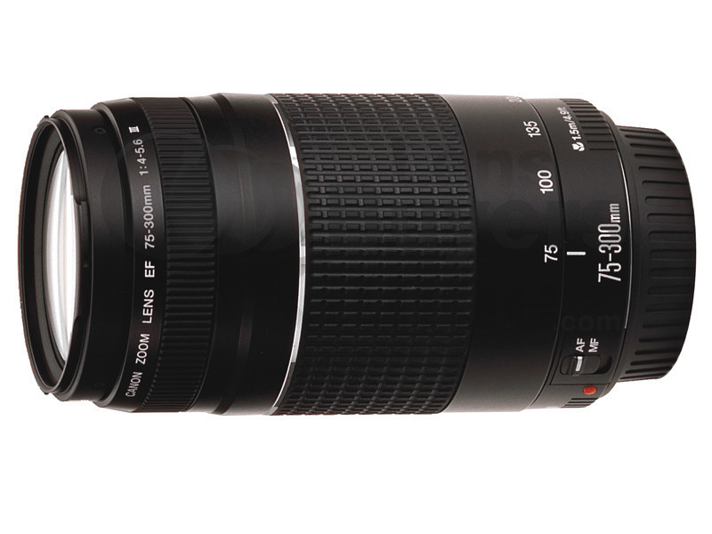 Canon EF 75-300mm f/4.0-5.6 III – image 2