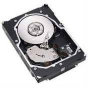 Seagate Cheetah 15K.5 Ultra320 SCSI 146.8GB