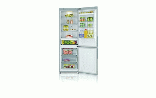 Samsung RL40HDPS fridge-freezer Freestanding – image 2
