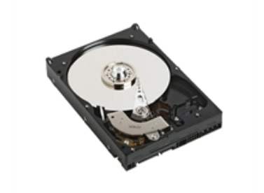 Dell 1TB 2.5" SATA II